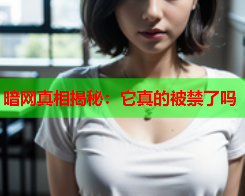 暗网真相揭秘：它真的被禁了吗