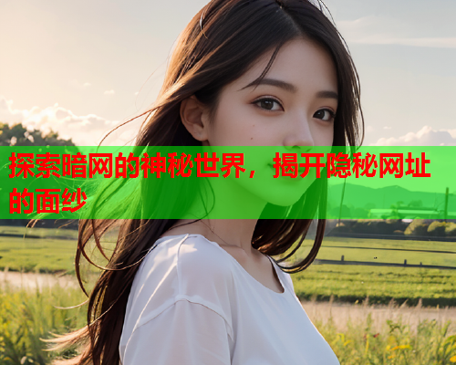探索暗网的神秘世界，揭开隐秘网址的面纱