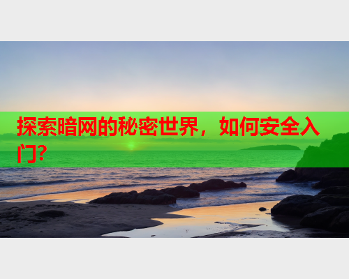 探索暗网的秘密世界，如何安全入门？