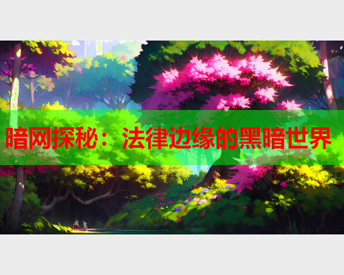 暗网探秘：法律边缘的黑暗世界