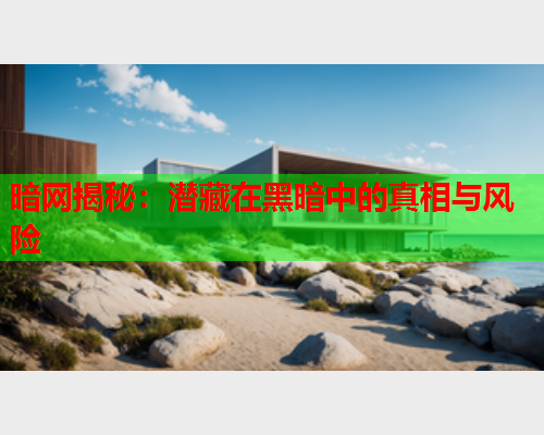 暗网揭秘：潜藏在黑暗中的真相与风险