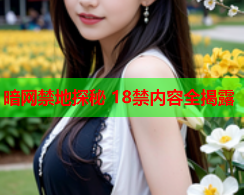 暗网禁地探秘 18禁内容全揭露