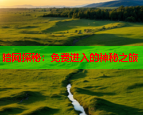 暗网探秘：免费进入的神秘之旅
