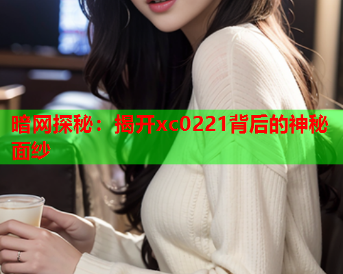 暗网探秘：揭开xc0221背后的神秘面纱