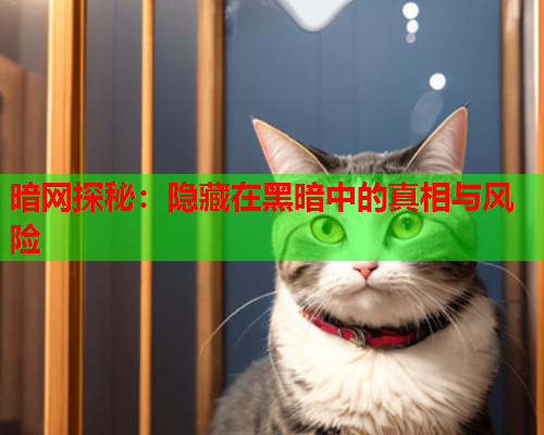 暗网探秘：隐藏在黑暗中的真相与风险