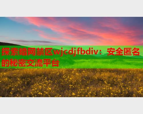 探索暗网禁区wjcdjfbdiv：安全匿名的秘密交流平台