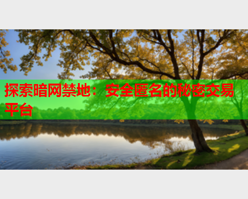 探索暗网禁地：安全匿名的秘密交易平台