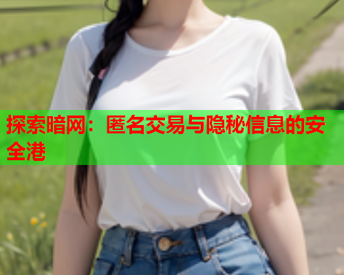 探索暗网：匿名交易与隐秘信息的安全港