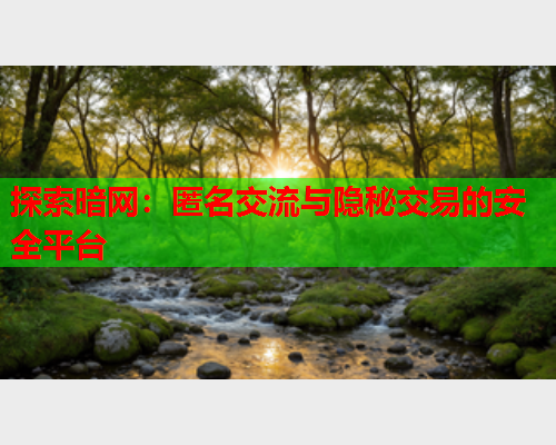 探索暗网：匿名交流与隐秘交易的安全平台