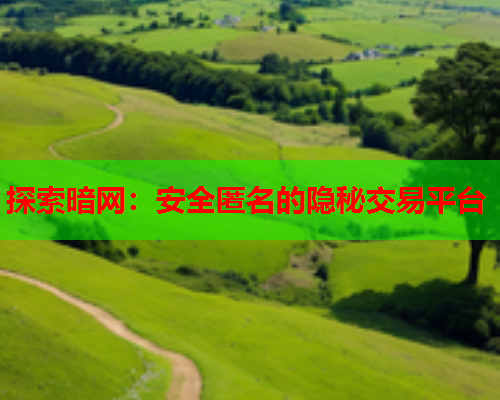 探索暗网：安全匿名的隐秘交易平台
