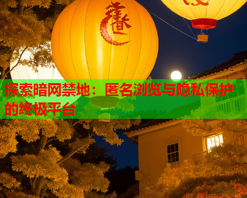 探索暗网禁地：匿名浏览与隐私保护的终极平台