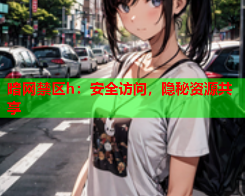 暗网禁区h：安全访问，隐秘资源共享