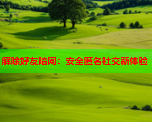 解除好友暗网：安全匿名社交新体验