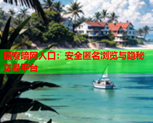 探索暗网入口：安全匿名浏览与隐秘交易平台
