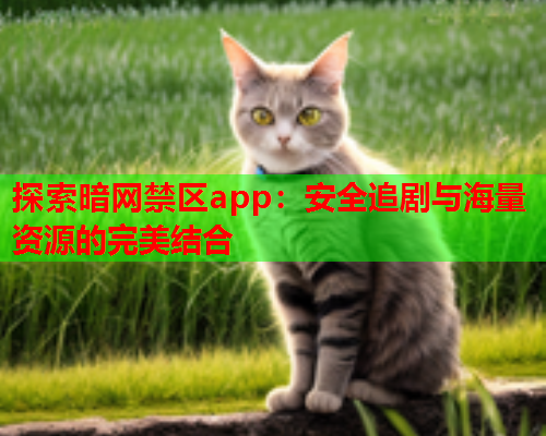 探索暗网禁区app：安全追剧与海量资源的完美结合