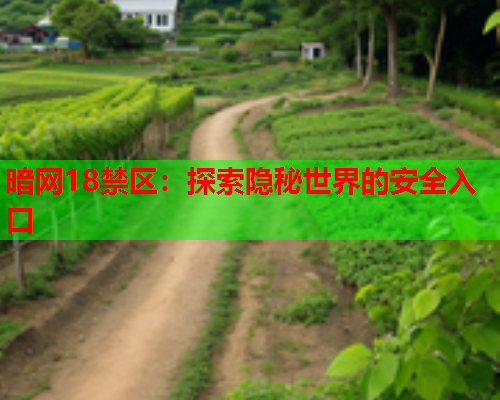 暗网18禁区：探索隐秘世界的安全入口