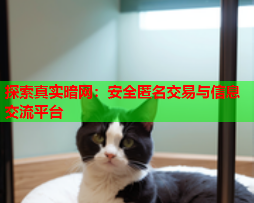 探索真实暗网：安全匿名交易与信息交流平台