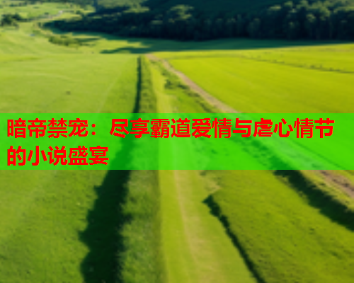 暗帝禁宠：尽享霸道爱情与虐心情节的小说盛宴