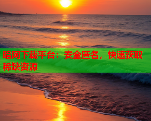 暗网下载平台：安全匿名，快速获取稀缺资源