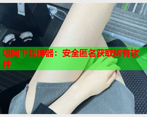 暗网下载神器：安全匿名获取稀有软件