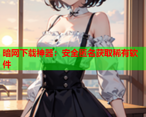 暗网下载神器：安全匿名获取稀有软件