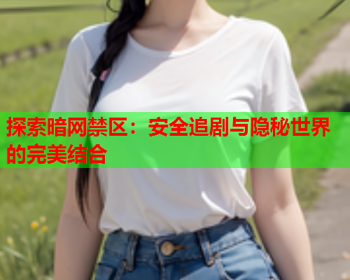 探索暗网禁区：安全追剧与隐秘世界的完美结合