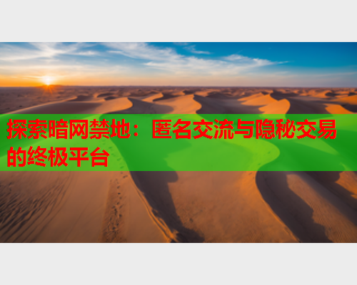 探索暗网禁地：匿名交流与隐秘交易的终极平台