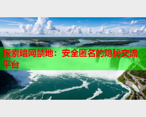 探索暗网禁地：安全匿名的隐秘交流平台