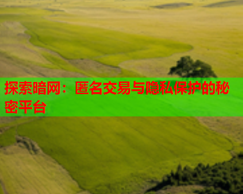 探索暗网：匿名交易与隐私保护的秘密平台