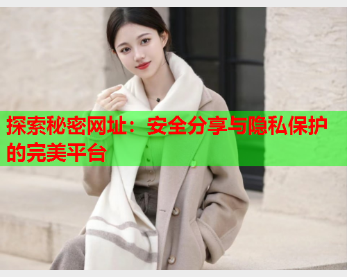 探索秘密网址：安全分享与隐私保护的完美平台