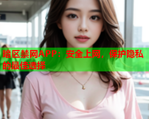 暗区禁网APP：安全上网，保护隐私的最佳选择