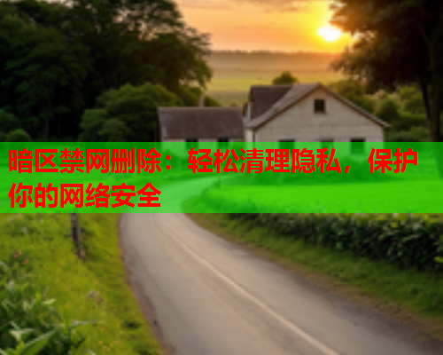 暗区禁网删除：轻松清理隐私，保护你的网络安全