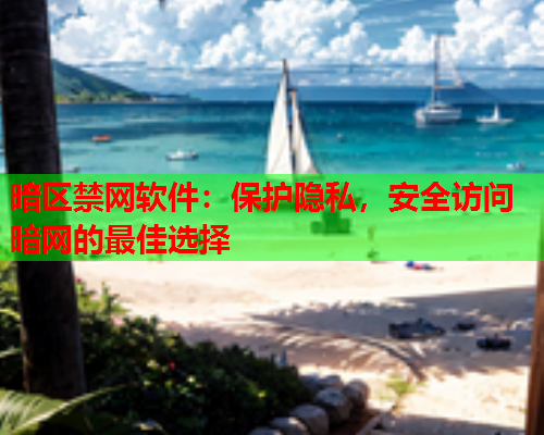 暗区禁网软件：保护隐私，安全访问暗网的最佳选择