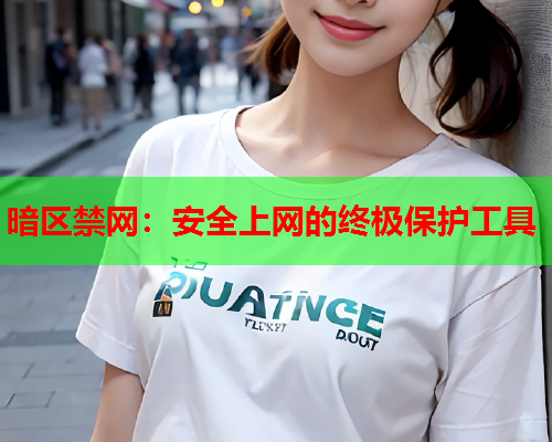 暗区禁网：安全上网的终极保护工具