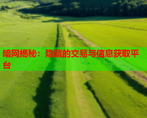 暗网揭秘：隐藏的交易与信息获取平台