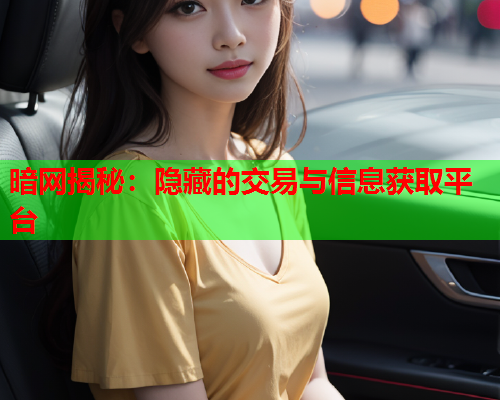 暗网揭秘：隐藏的交易与信息获取平台