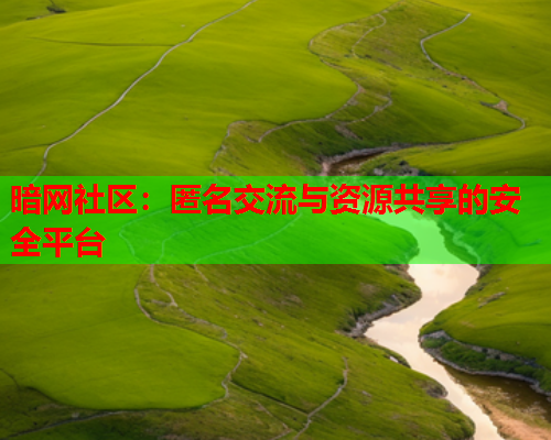暗网社区：匿名交流与资源共享的安全平台