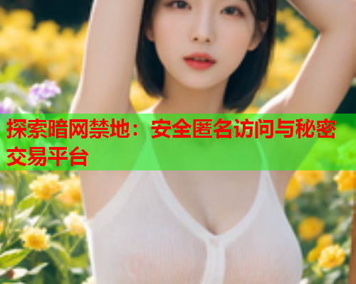 探索暗网禁地：安全匿名访问与秘密交易平台