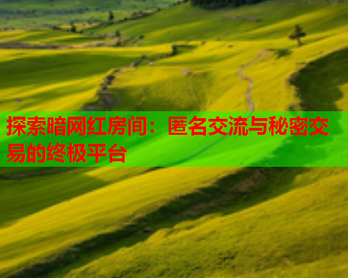 探索暗网红房间：匿名交流与秘密交易的终极平台