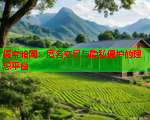 探索暗网：匿名交易与隐私保护的理想平台