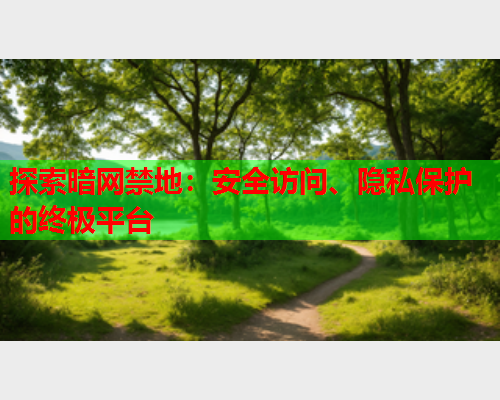 探索暗网禁地：安全访问、隐私保护的终极平台