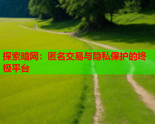 探索暗网：匿名交易与隐私保护的终极平台