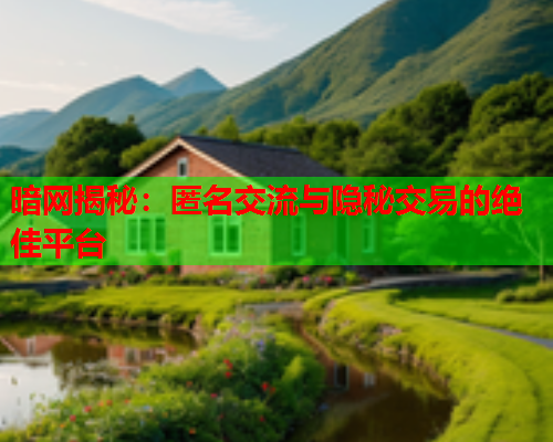 暗网揭秘：匿名交流与隐秘交易的绝佳平台