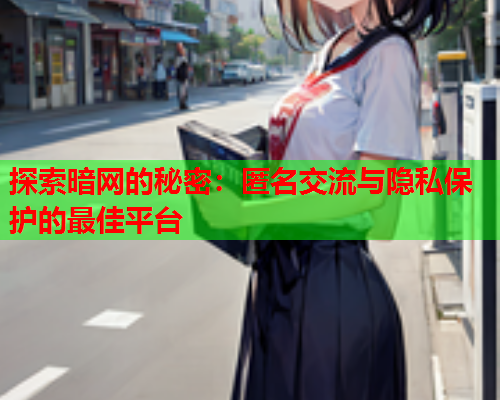 探索暗网的秘密：匿名交流与隐私保护的最佳平台