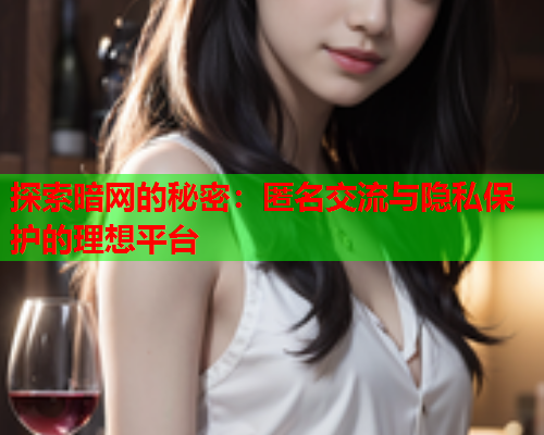 探索暗网的秘密：匿名交流与隐私保护的理想平台