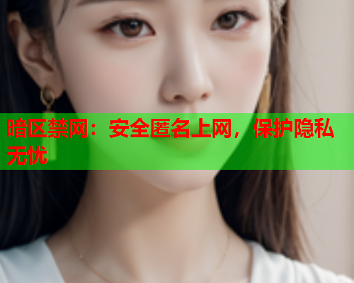 暗区禁网：安全匿名上网，保护隐私无忧