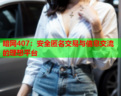 暗网407：安全匿名交易与信息交流的理想平台