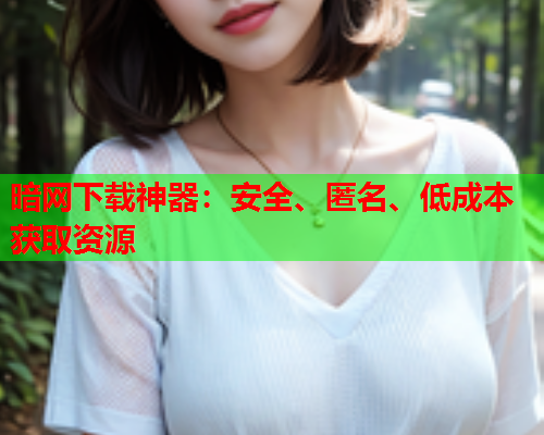 暗网下载神器：安全、匿名、低成本获取资源