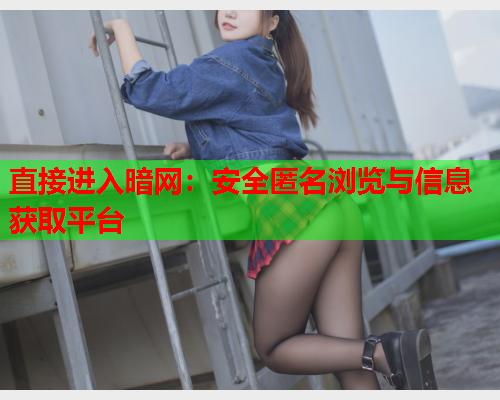 直接进入暗网：安全匿名浏览与信息获取平台