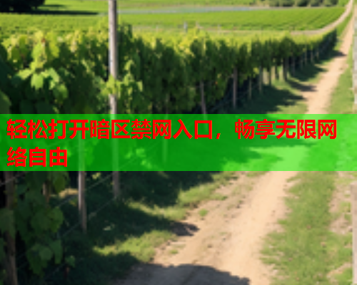 轻松打开暗区禁网入口，畅享无限网络自由